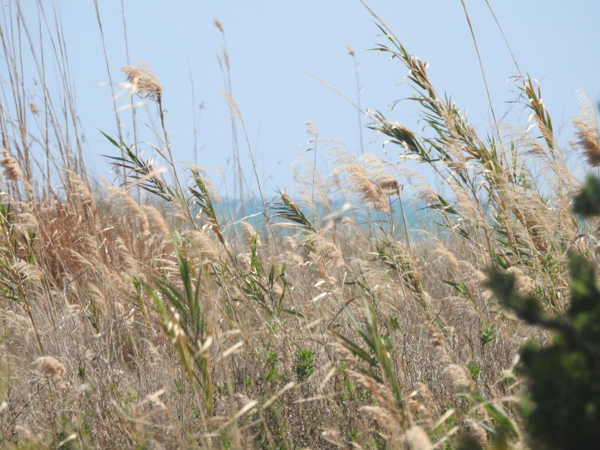 Cal Garreta Βίλα L'Eucaliptus Εξωτερικό φωτογραφία